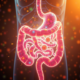 Why Good Gut Health Matters for Your Overall Wellness