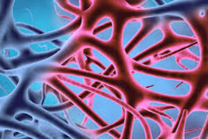 Healing from the Inside Out: The Metabolic Magic of GLP-1/GIP Medications