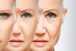 Turn Back the Clock: The Science-Backed Anti-Aging Stack You Need Now